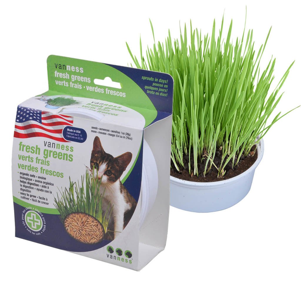 Oat Garden Kit