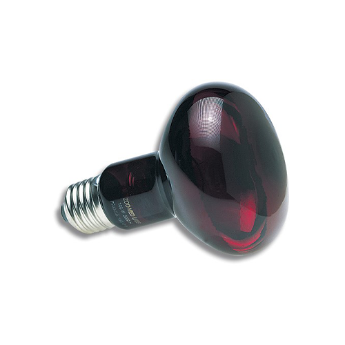 Z.M. Infrared Heat Lamp