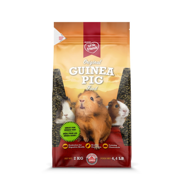 Martin's Little Friends Guinea Pig