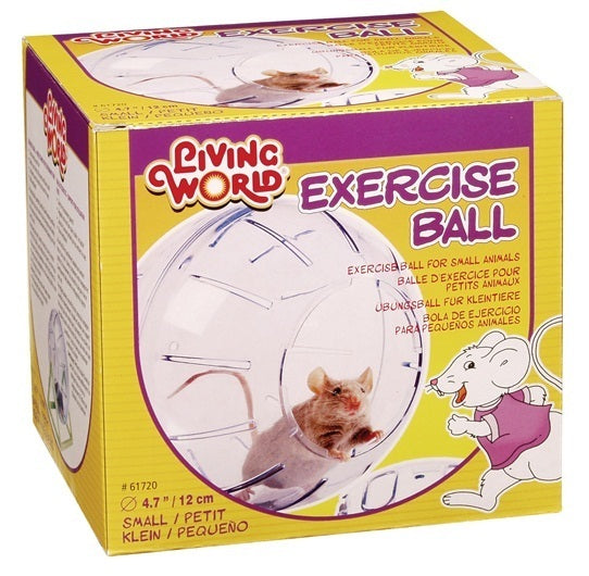 L.W. Exercise Ball