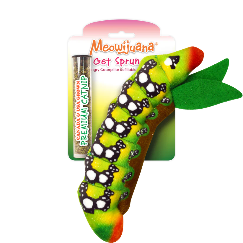 Meowijuana Get Sprung