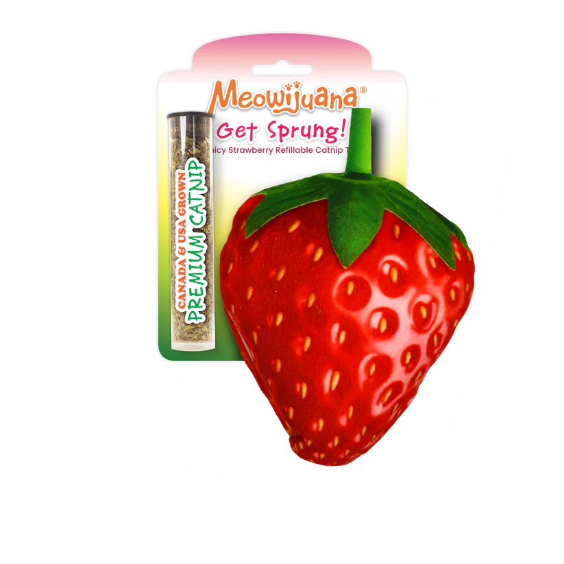 Meowijuana Get Sprung