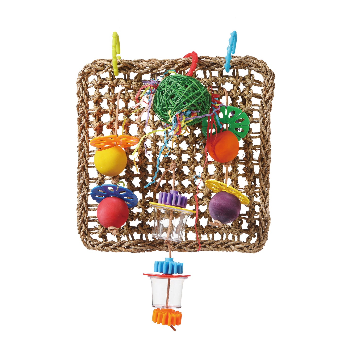 Smart Play Foraging Toy