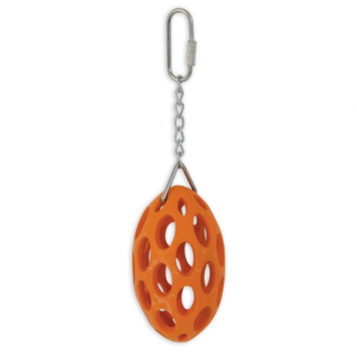 JW Activitoy NutCase