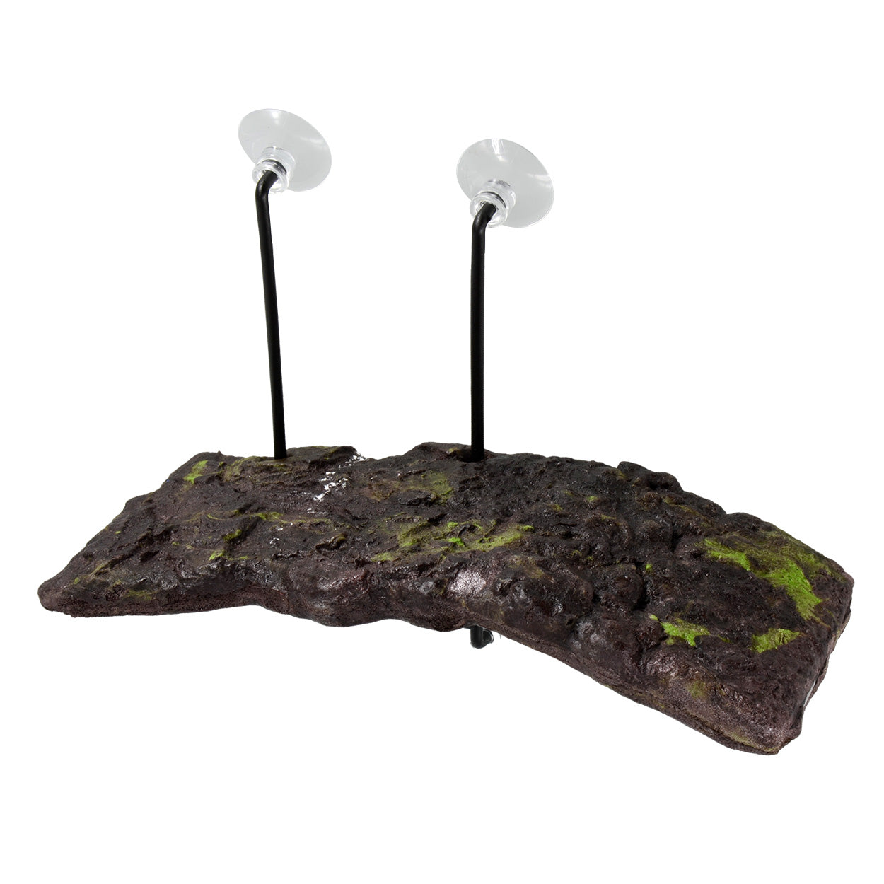 Zm Turtle Dock