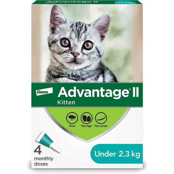 Advantage II for Kitten