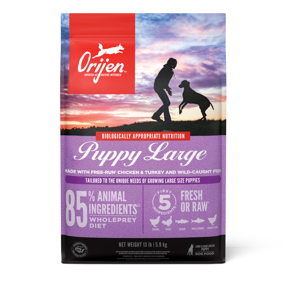 Orijen Large Breed Puppy