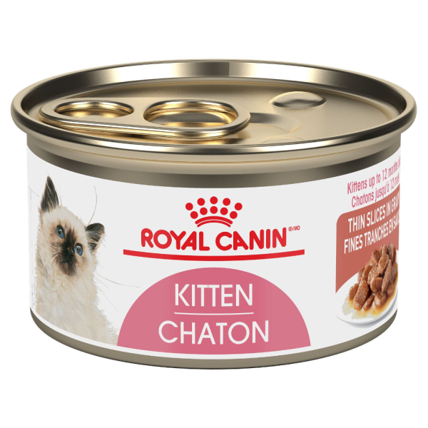 Rc Kitten Instinctive