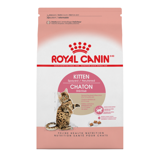 Rc Kitten Spayed Neutered