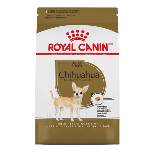 Rc Chihuahua A
dult