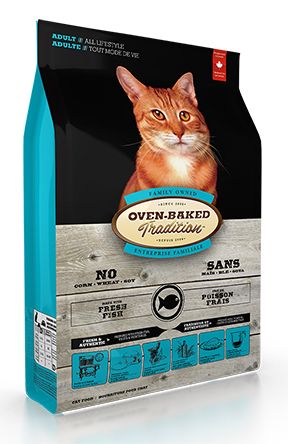 OBT Cat Adult