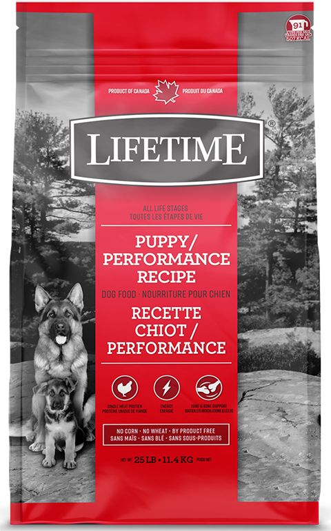 Lifetime Performance