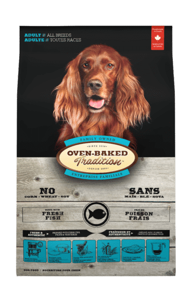 OBT Adult Dog