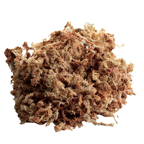 Zm Nz Sphagnum Moss