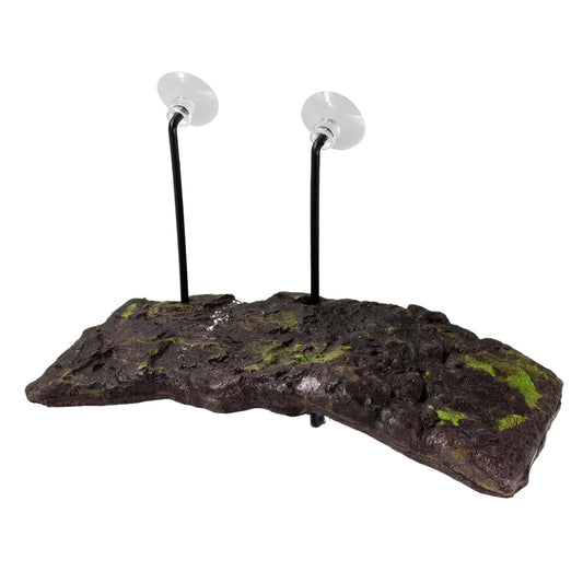 Zm Turtle Dock