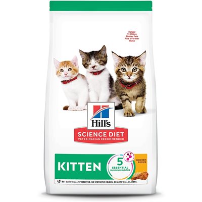 Sd Feline Kitten